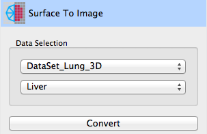 QmitkSegmentationUtilities_IMGSurfaceToImage.png