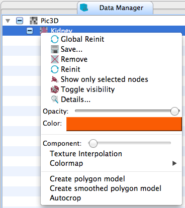 QmitkSegmentation_IMGDataManagerContextMenu.png
