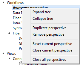 QmitkViewNavigatorContextMenuCustomWorkflow.png